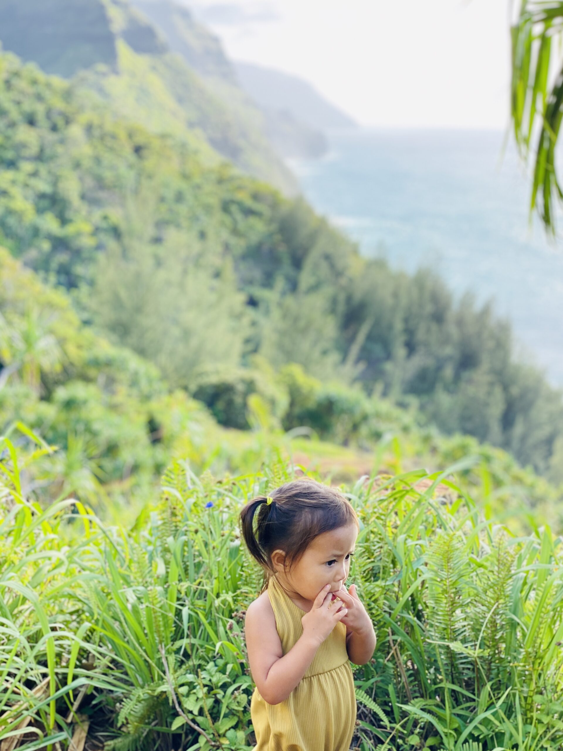 Exploring Outdoors with Kids – These Wild Days