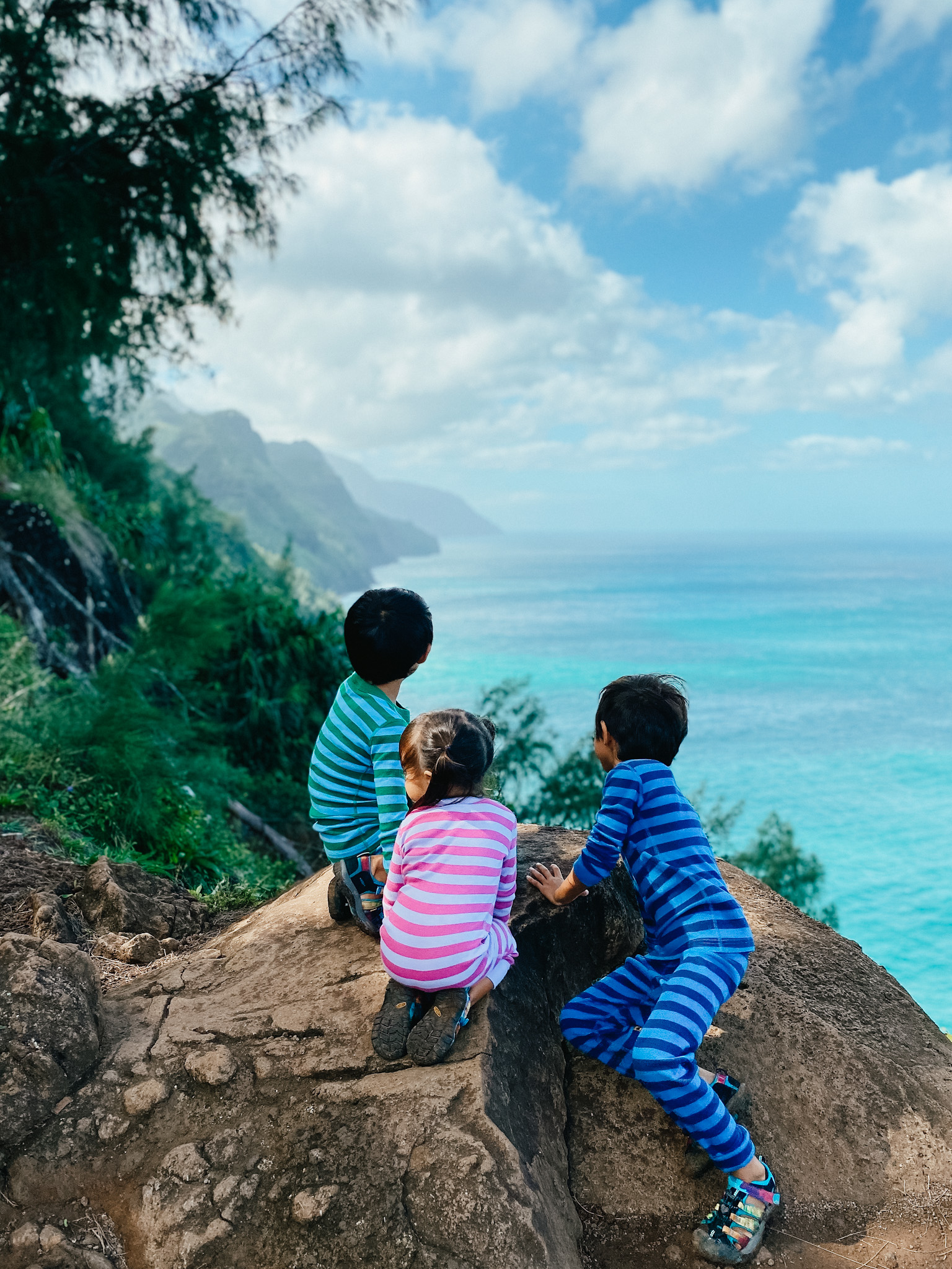 Homeschool in Hawaii Midyear Update These Wild Days