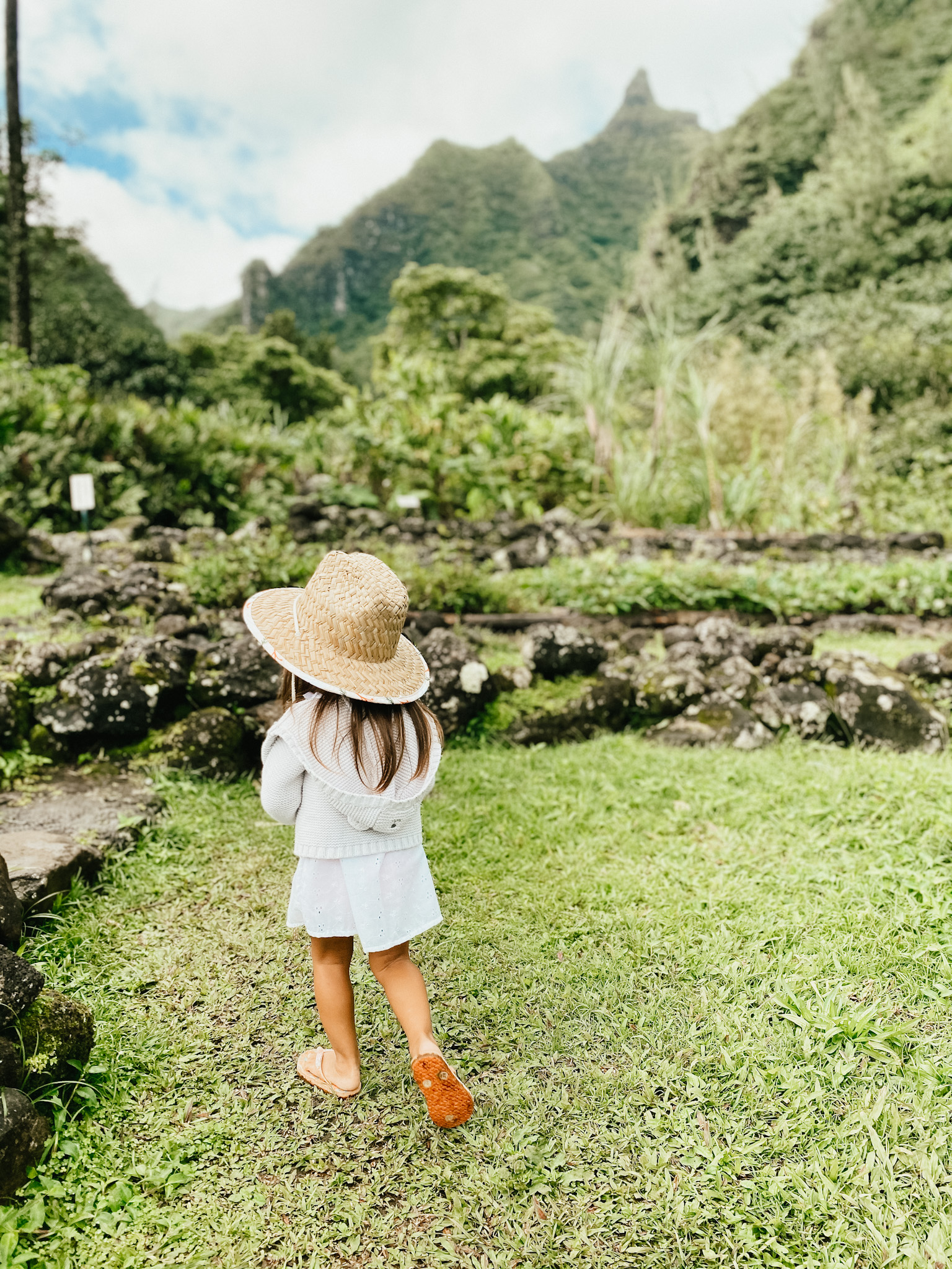 Homeschool in Hawaii Midyear Update These Wild Days