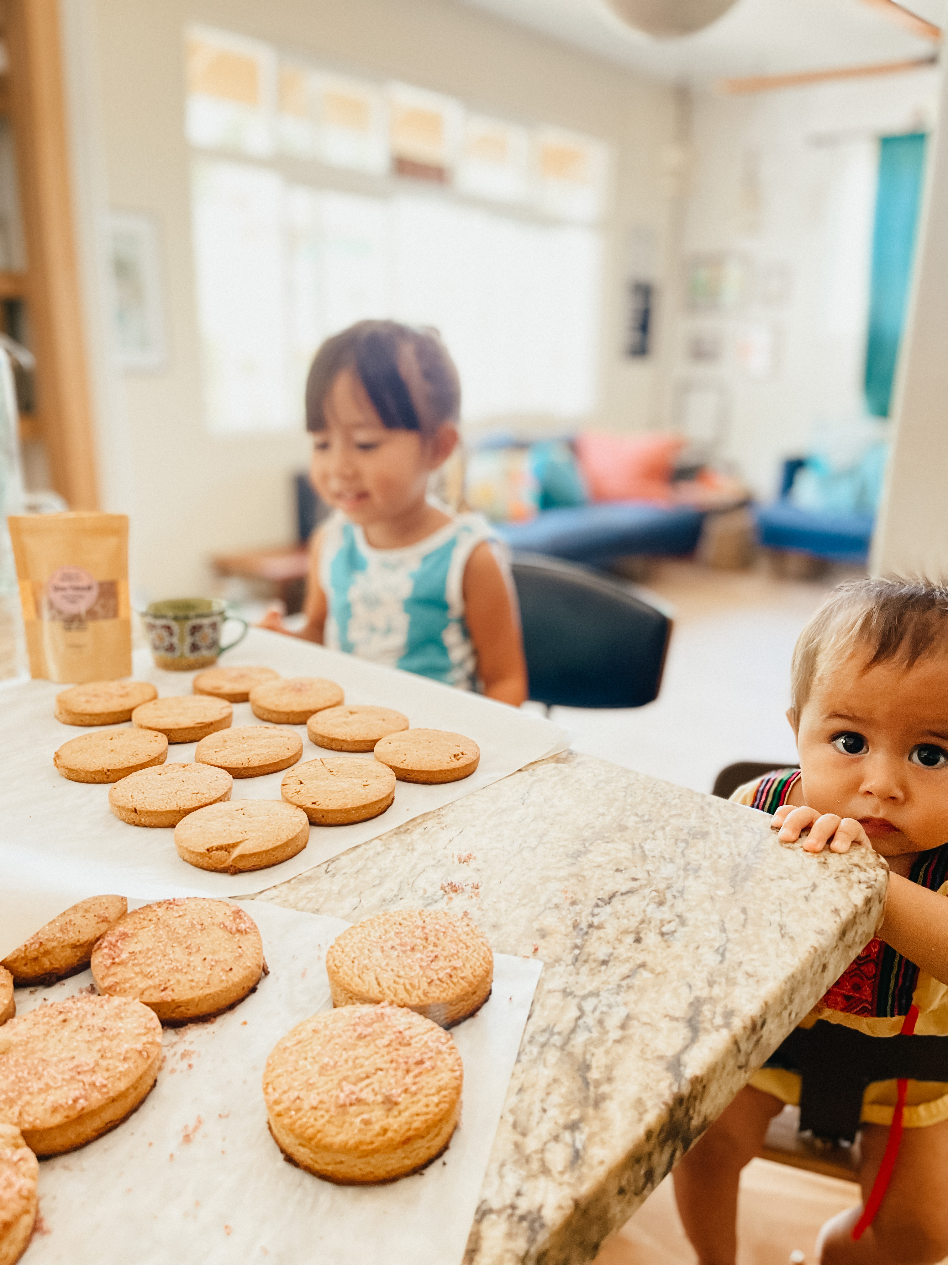 Hawaii-Style Holiday Cookies